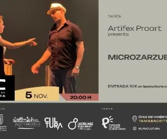 Artifex Proart