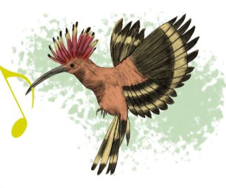 Piu piula i l'orquestra