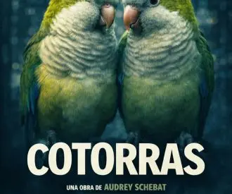 Cotorras, de Malasombra Produccións
