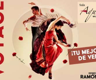 Flamenco Voyage