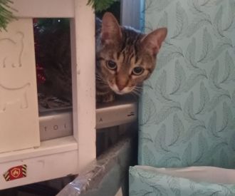 Las Primeras 17 Canciones del año