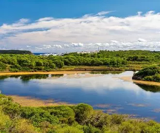 Parc natural de s'Albufera