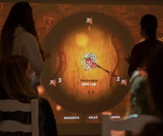 Iniciación al flamenco