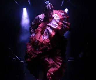 Show de Flamenco en La Carmela