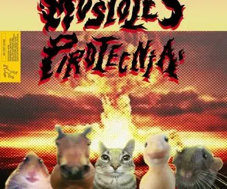 Móstoles Pirotecnia