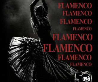 Flamenco en taberna J&J