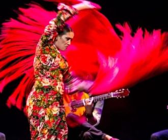 Flamenco puro en el corazón de Madrid