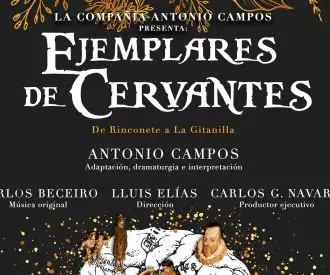 Ejemplares de Cervantes