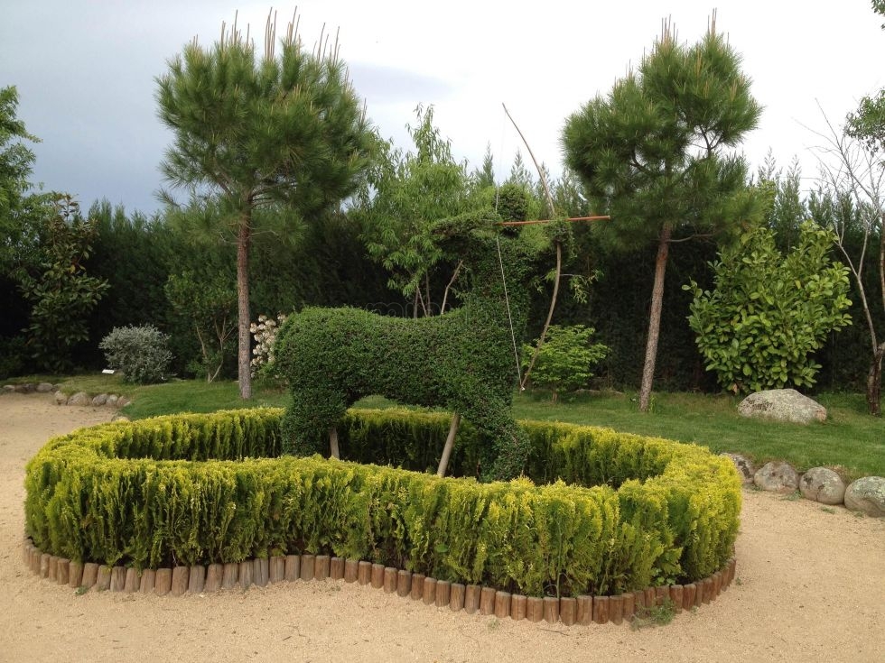Entradas El Bosque Encantado en San Martín de Valdeiglesias sin colas