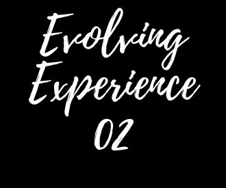 Evolving Experience 02