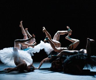 El lago de los cisnes - L'Eolienne