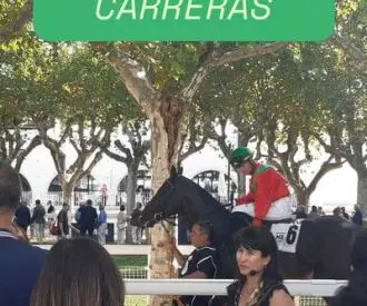 Experiencia Hipotour Carreras & Carreras Premium