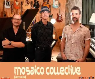 Mosaico Collective