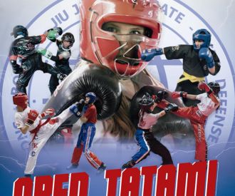 Open Kickboxing Ufam