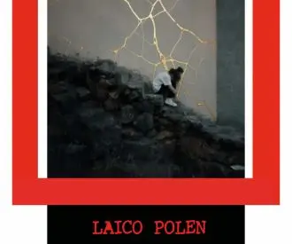 Laico Polen