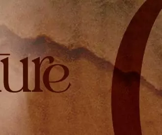 Culture - 10 mayo