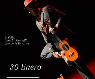 El Flamenco es Asín