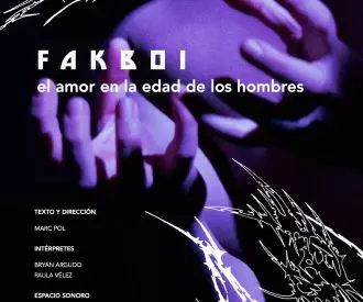 Fakboi o el Amor en la Edad de los Hombres