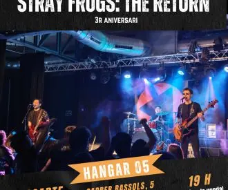 Stray Frogs: The Return