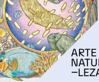 Cicle Confe Art i Postnatura