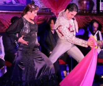 Espectáculo Tablao Flamenco Los Porches