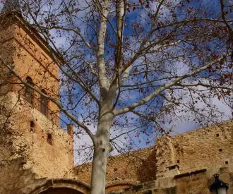 A concretar (Argamasilla de Alba)