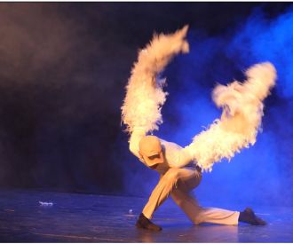 L' Aneguet Lleig - cía NS Dansa