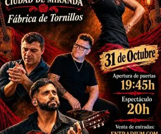 Festival Flamenco Ciudad de Miranda