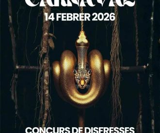 Carnaval - La Farra Llinars