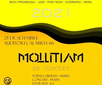 MollitiaM