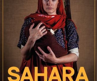 Sahara, La barca del desierto