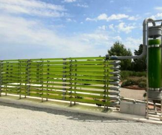Ibiza botánico biotecnológico