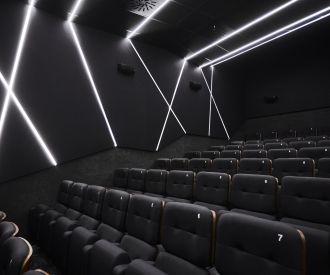 Cines Embajadores