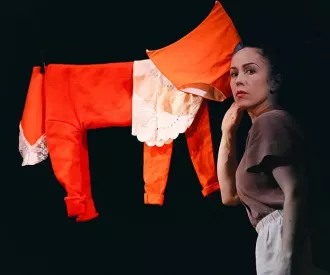 PYYKKI, Lost in Laundryland - cía Portmanteau