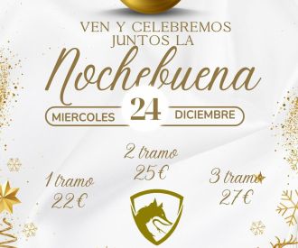 ¡Nochebuena en Silikona!