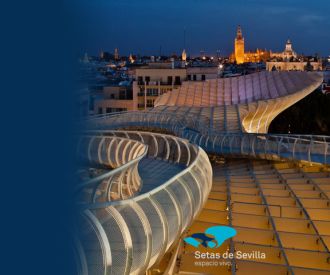 Setas de Sevilla. Espacio Vivo