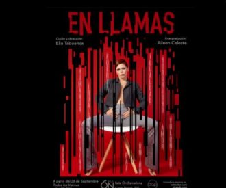 En llamas