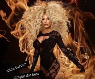 Simply The Best - Tina Turner Tribute
