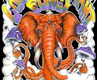 Lord Elephant + Fungi