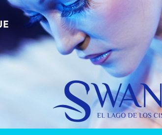 El lago de los cisnes - Alcoi Plaza Teatre - Alcoi - 2025-12