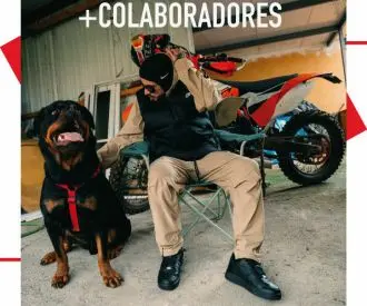 Aday P + Colaboradores