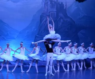 Swan Lake - el Lago de los Cisnes - Riojaforum