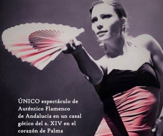 Flamenco - Teatre Sans