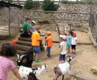 Granja Molins de Rei