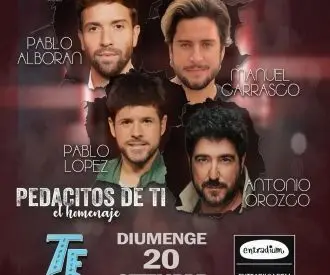 Pedacitos de ti