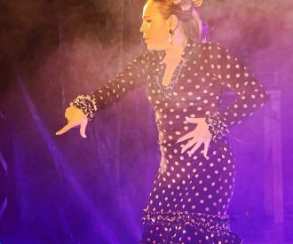 Esencia Flamenca en el Diluvi