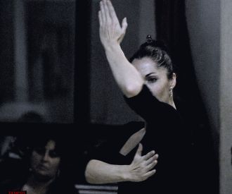 Flamenco de Raíz