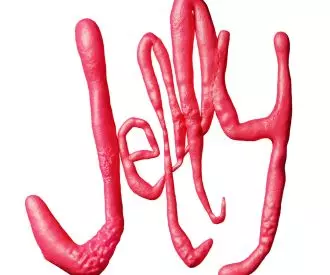 Jelly