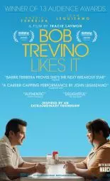 Cartel de la película Un 'like' de Bob Trevino