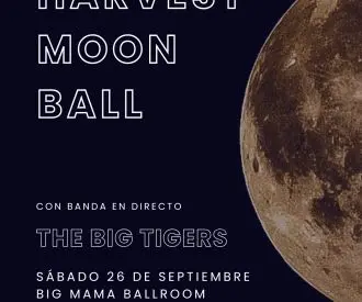 Fiebre Swing - Harvest Moon Ball